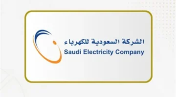 بفاتورة ثابتة.. السعودية للكهرباء تتيح خياراً ميزانيتك الشهرية عبر تطبيقها الجديد